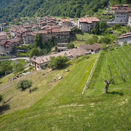 Le Terre Di Gu Farm stay *
