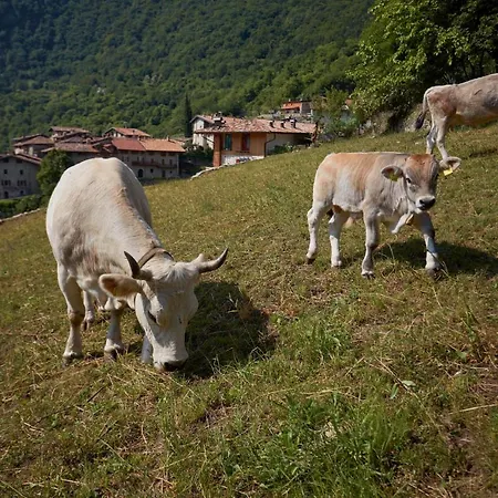 Farm stay Le Terre Di Gu *