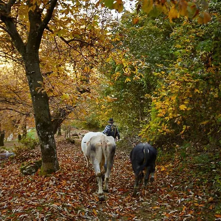 Farm stay Le Terre Di Gu Tenno