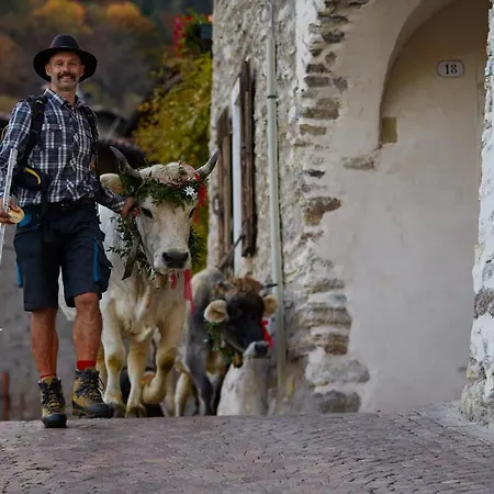 Alloggio per agriturismo Le Terre Di Gu
